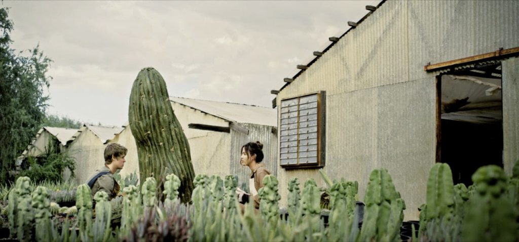 Cactus Boy - Short Film Review - Indie Shorts Mag