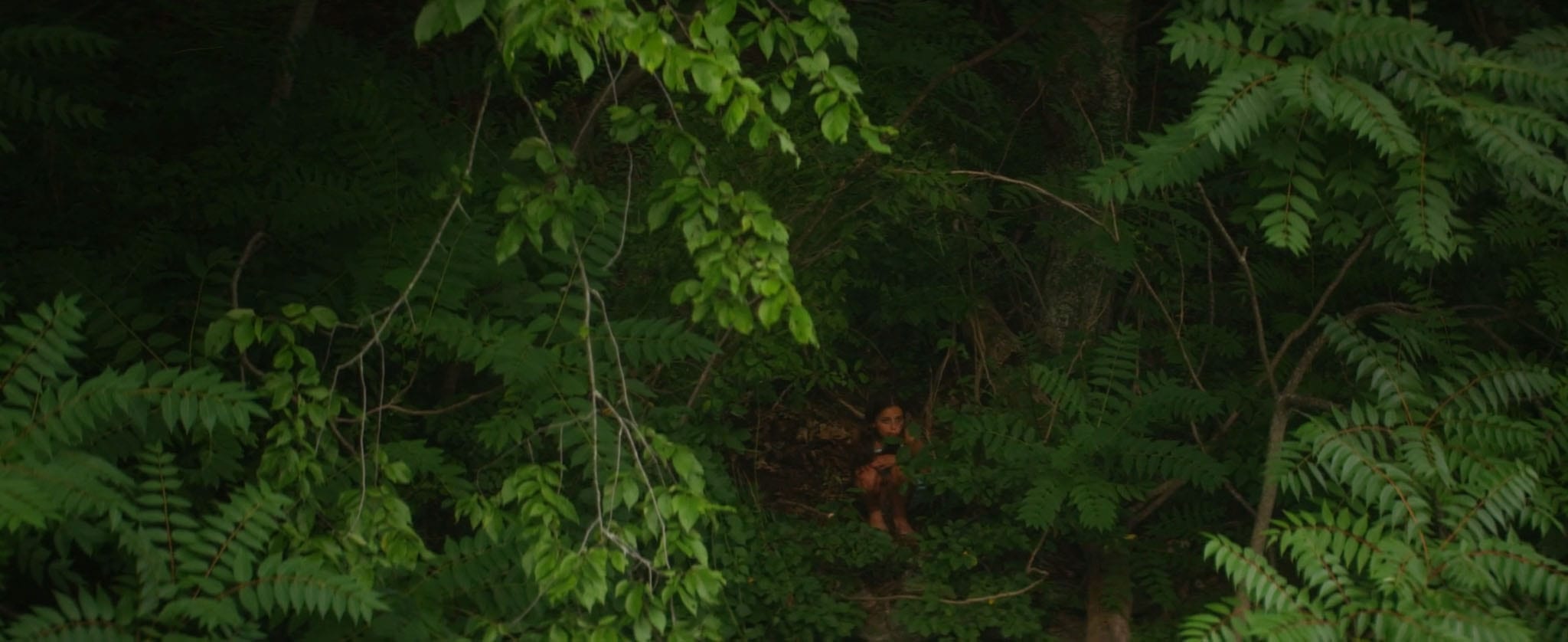 Are You Wild Like Me? - Short Film Review - Indie Shorts Mag