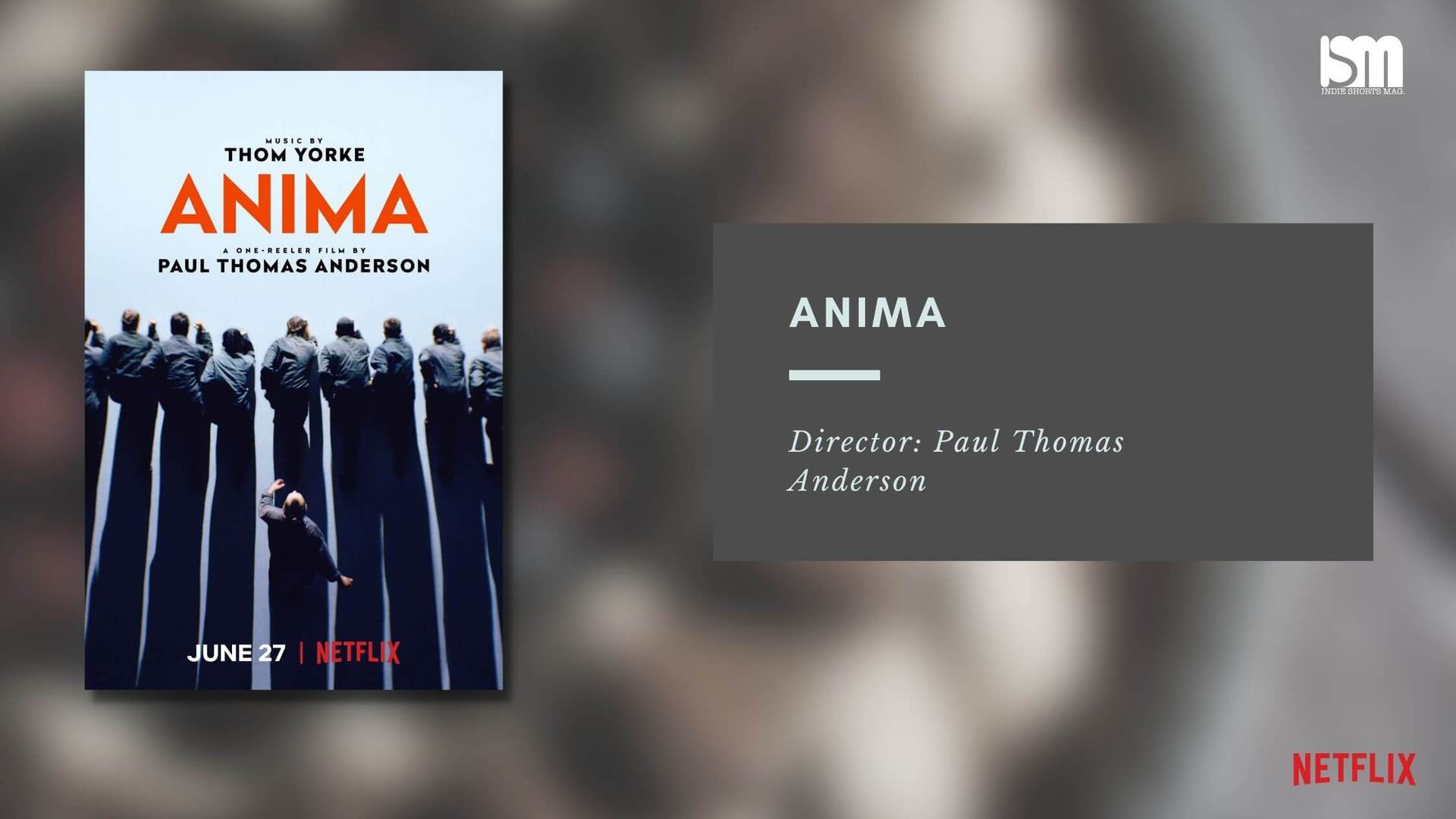 Anima - Best Short Films On Netflix You Shouldn't Miss - Indie Shorts Mag