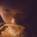 One More Bite 食物瘾者 - Short Film Review - Indie Shorts Mag