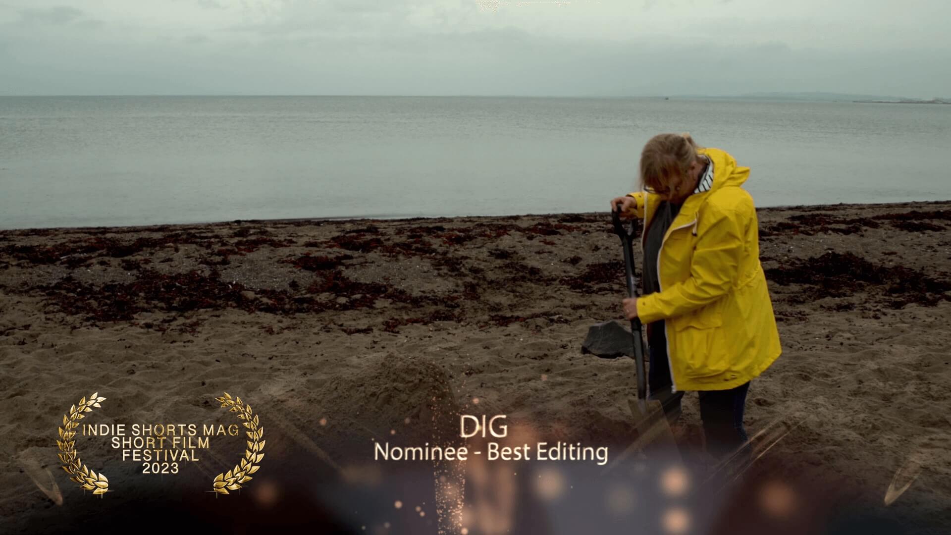 Indie Shorts Mag Short Film Festival - Best Editing - Nominee - DIG