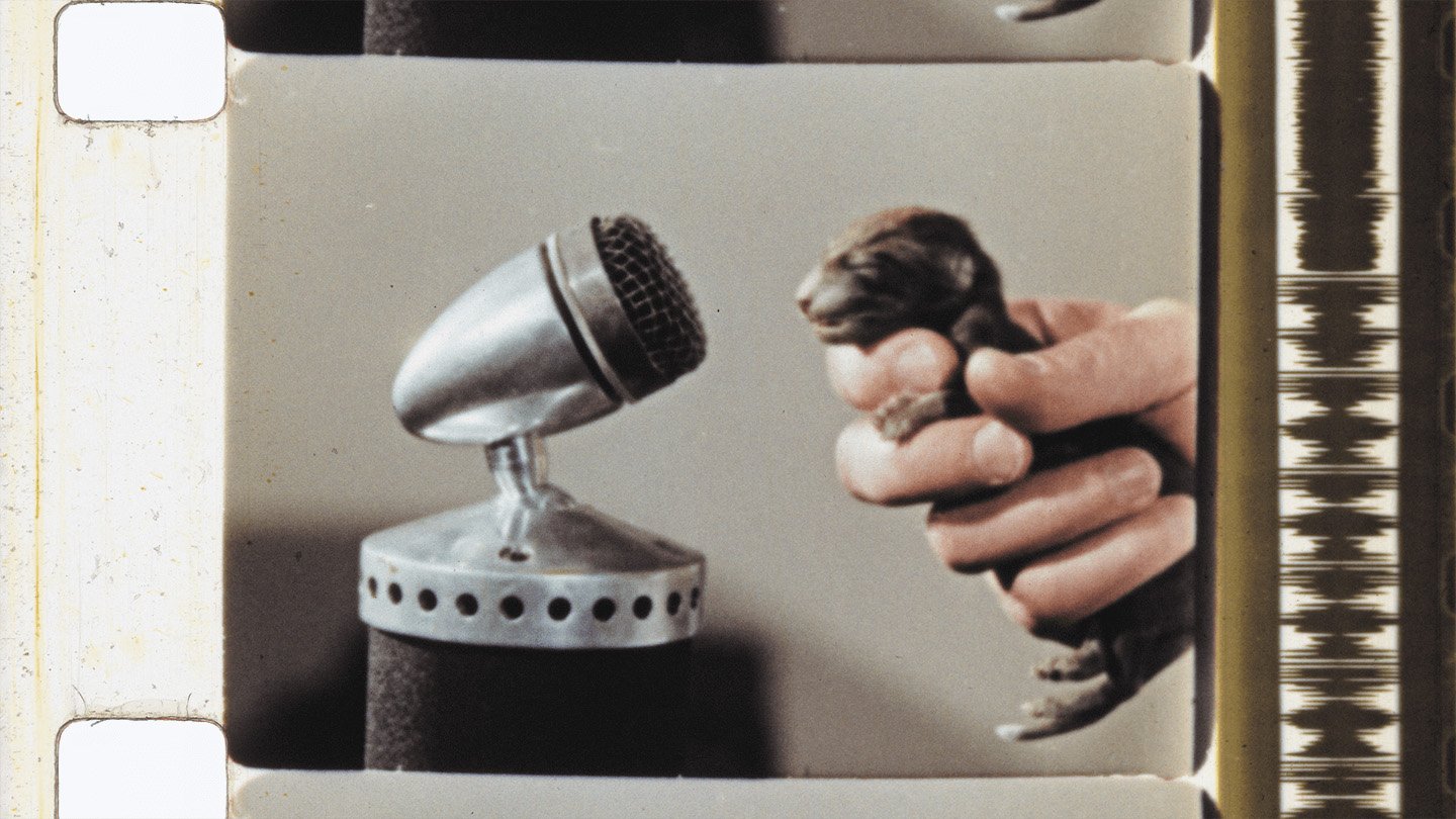 London’s Bertha DocHouse to Host 4th CINECITTÀ Italian Doc Season This July - BESTIARES, HERBARIA, LAPIDARIES - Documentary - Indie Shorts Mag